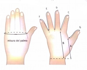 27939143_10156139997349521_241864925_n